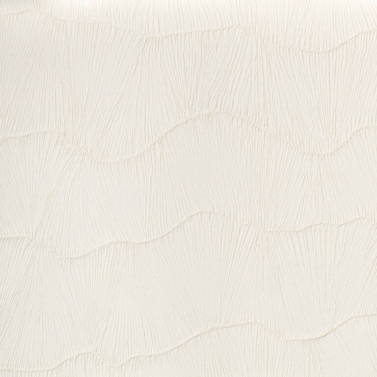 Обои Phillip Jeffries — Make Waves — Washi White — 8866