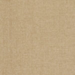 Обои Phillip Jeffries — Chromatic — Coco — 3334