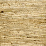 Обои Phillip Jeffries — Extra Fine Arrowroot — Wheat — 073