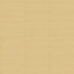Обои Phillip Jeffries — Abaca Royale — Radiance — 10622
