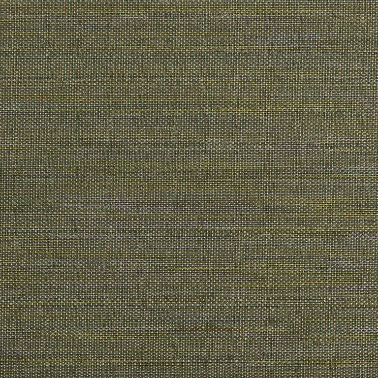 Обои Phillip Jeffries — Abaca Royale — Verdant — 10623